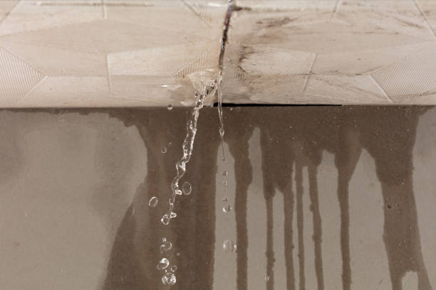 Professional Burst Pipe Cleanup technician working in Balch Springs, TX